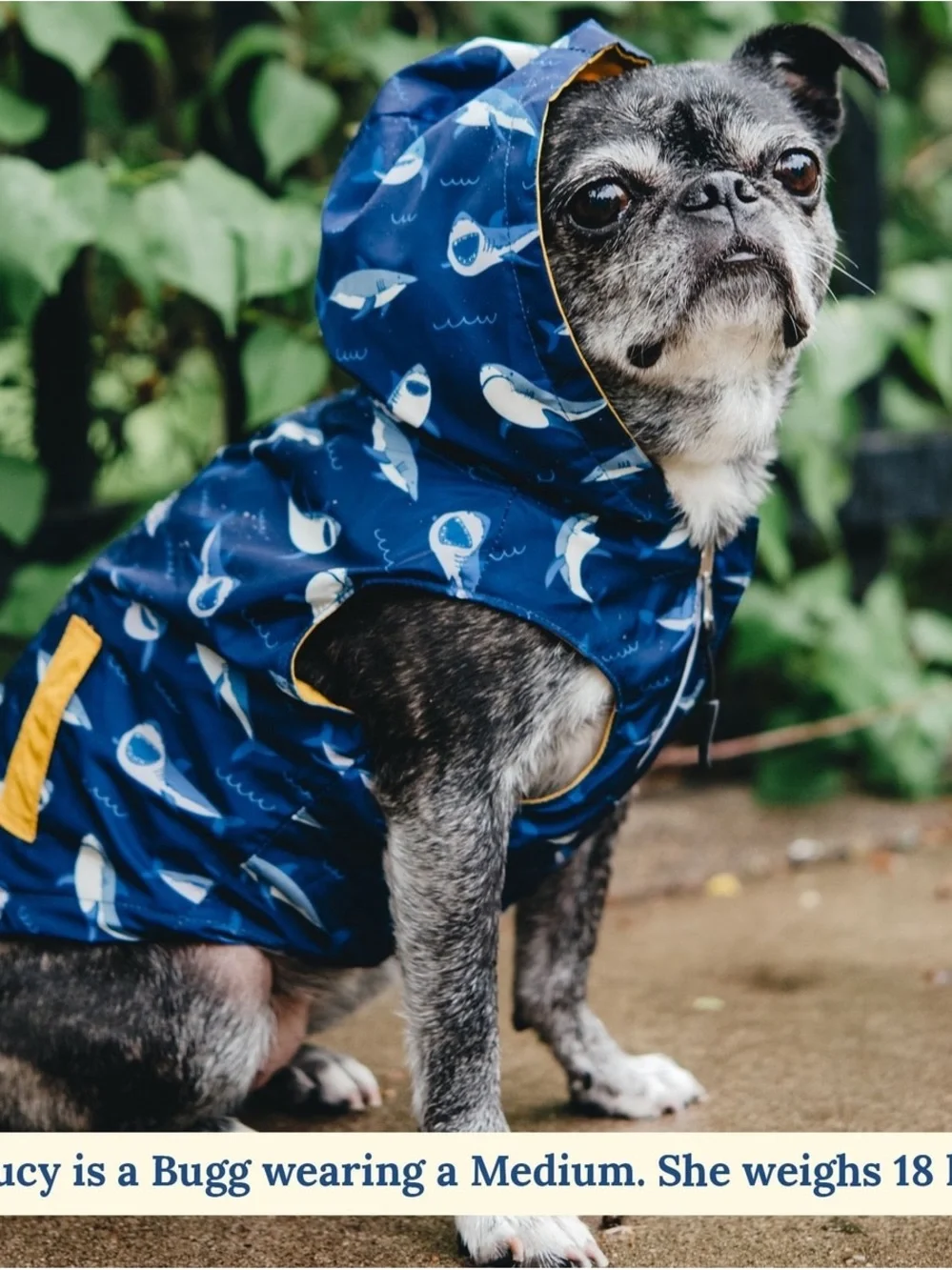 Lucy & Co. Shark Attack Reversible Raincoat for Dogs Size M